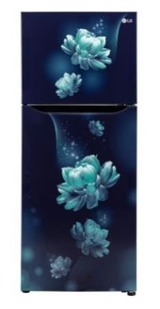 LG GL-N292BBCY (FF REFRIGERATOR, BLUE CHARM, 242 LITRE, 2 STAR)
